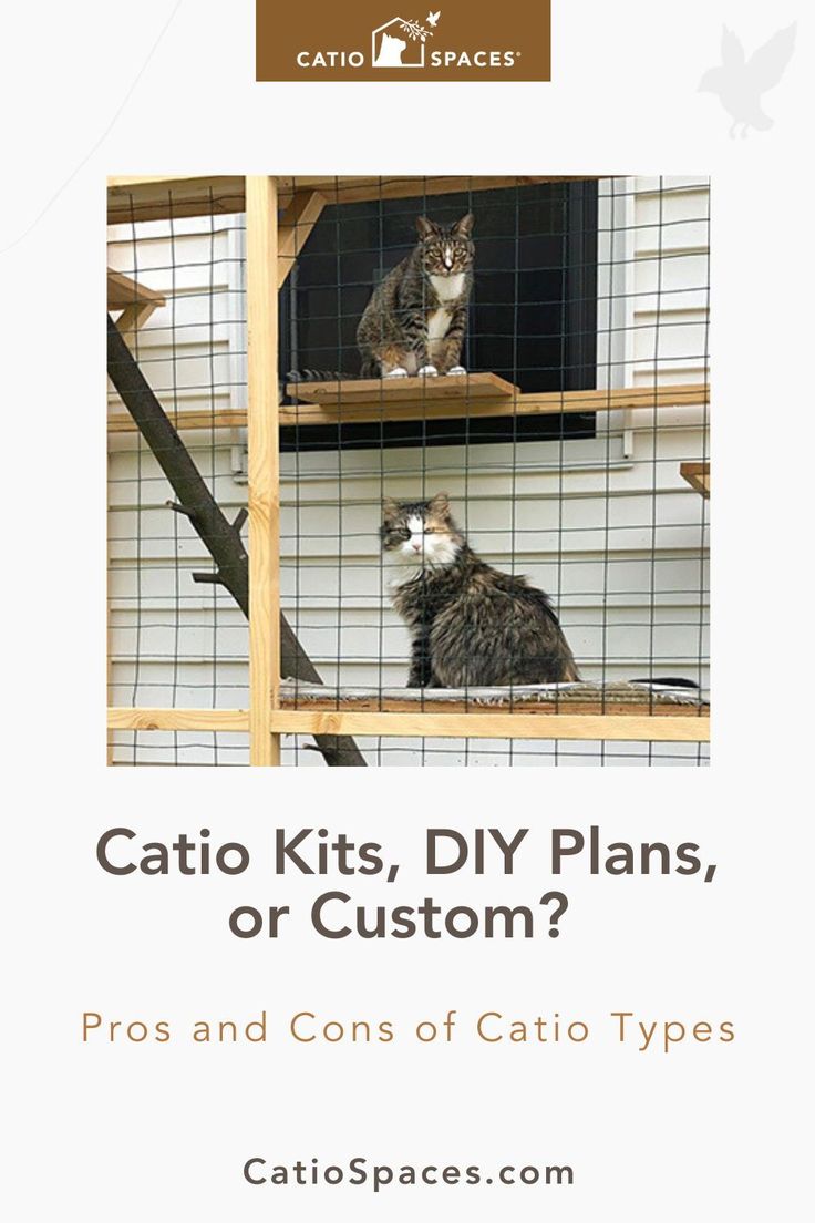 How to Compare DIY Catio Kits