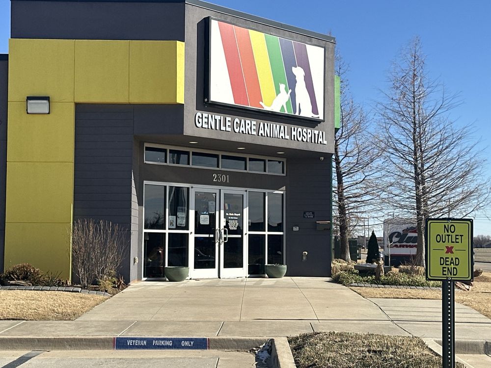 Understanding Gentle Care Animal Hospital Reviews in Edmond
